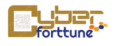 cyberforttune